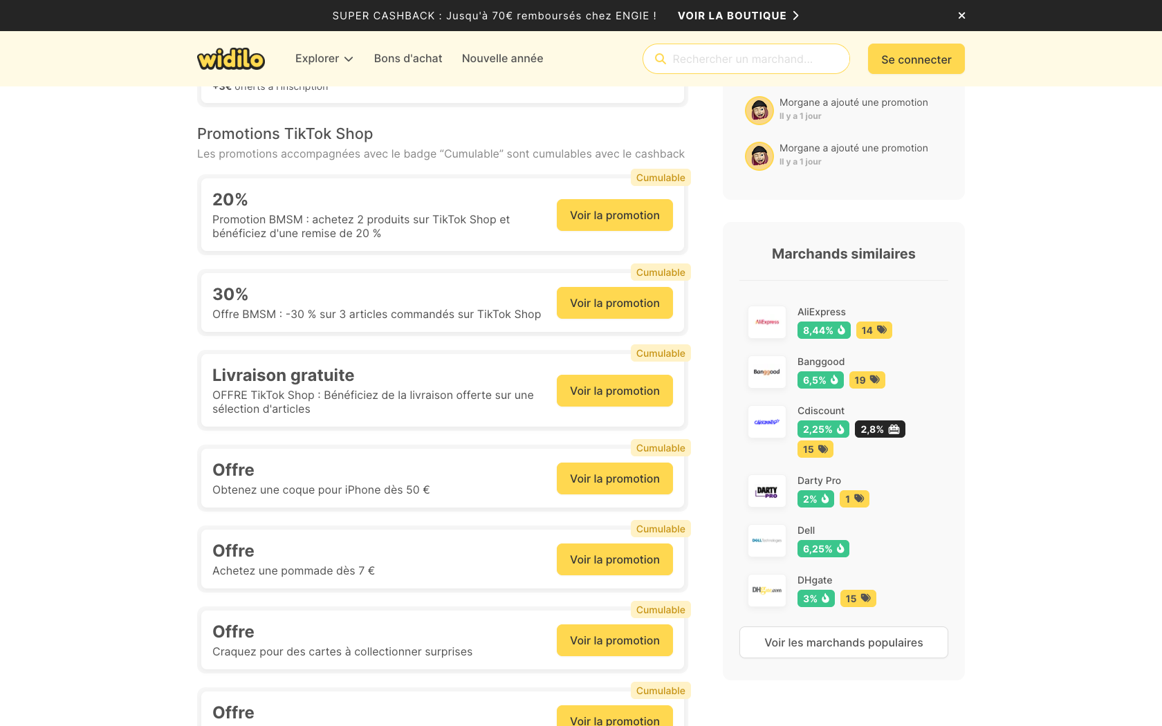 Aperçu du site Widilo