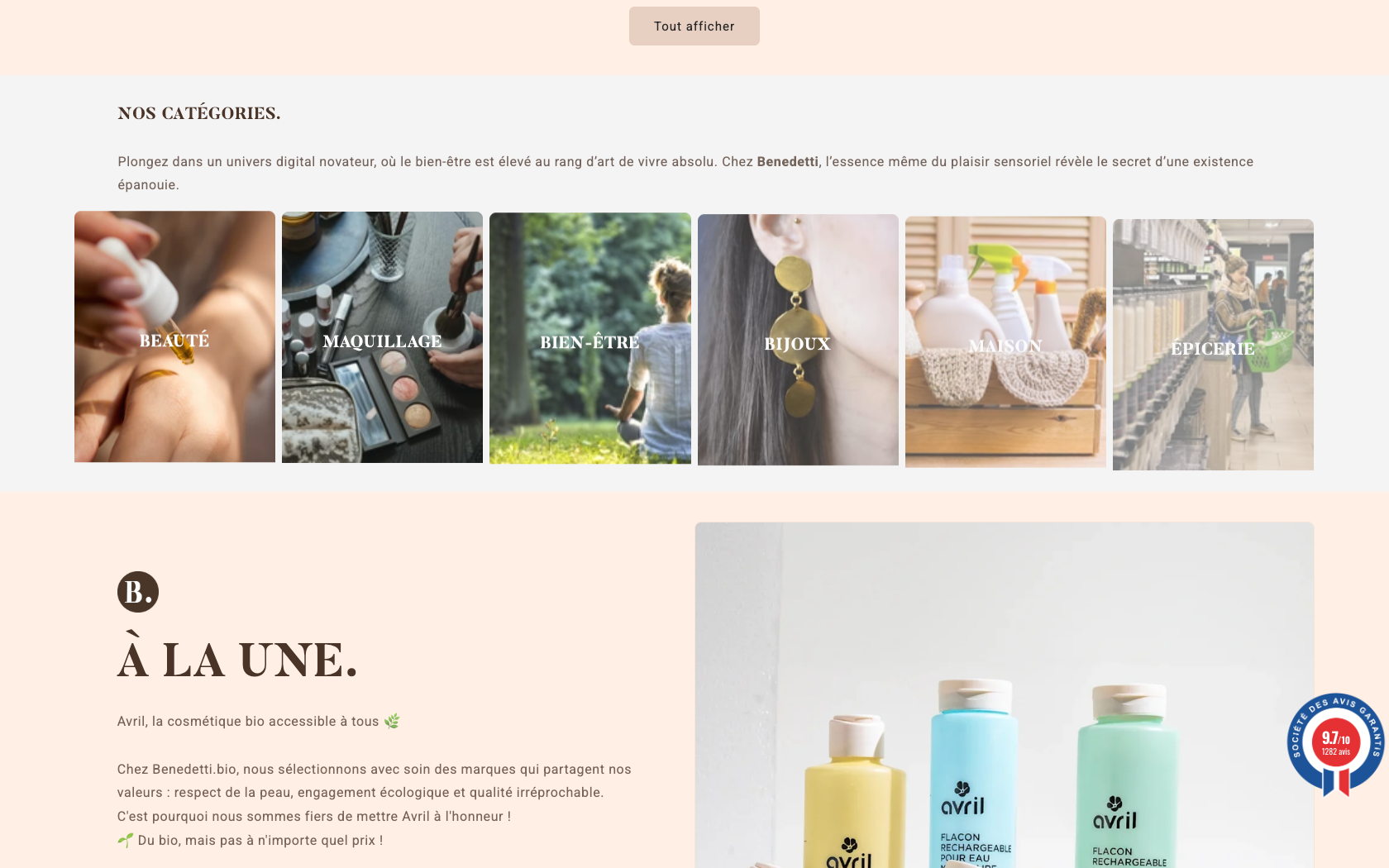 Aperçu du site E Benedetti