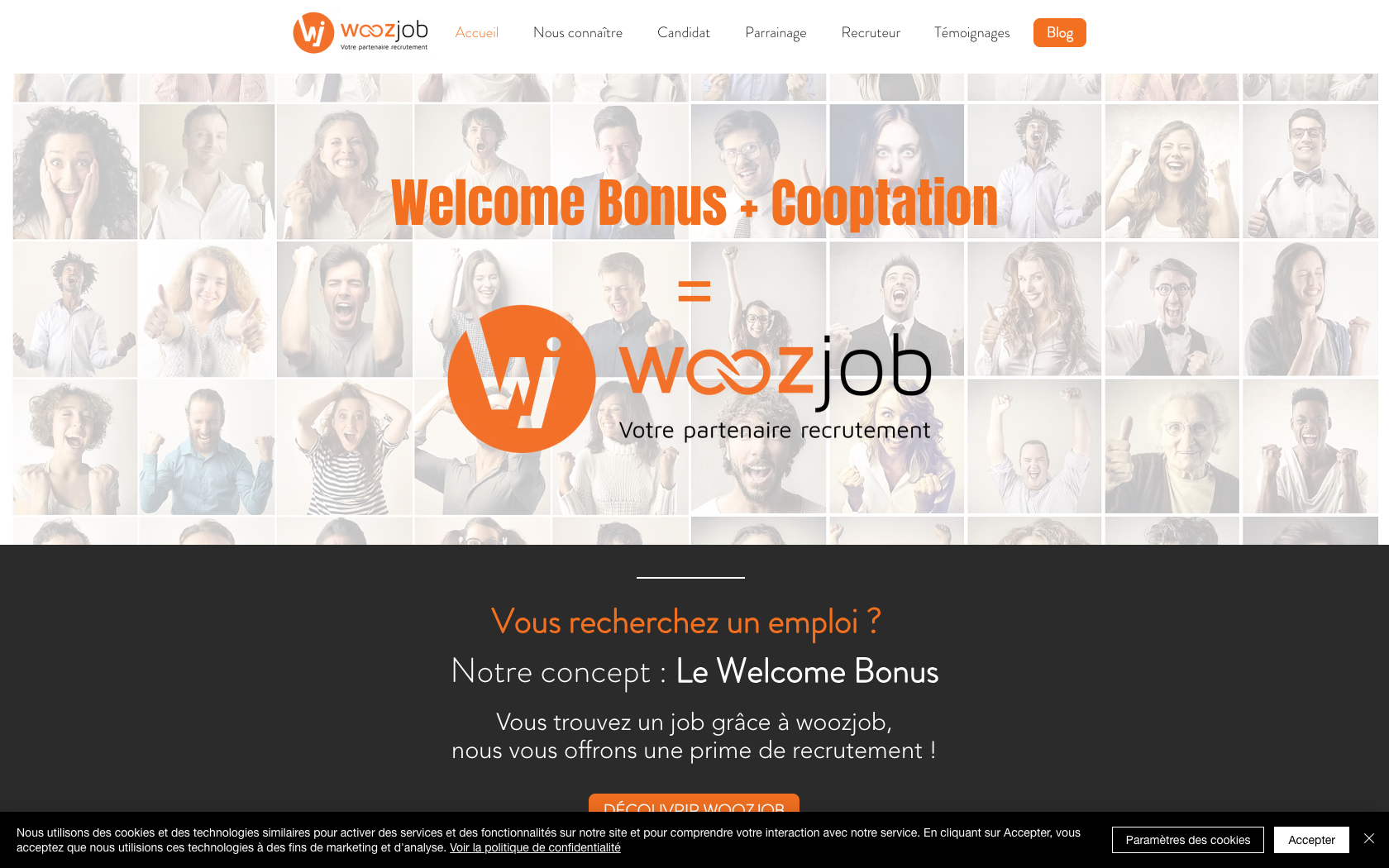 Aperçu du site Woozjob