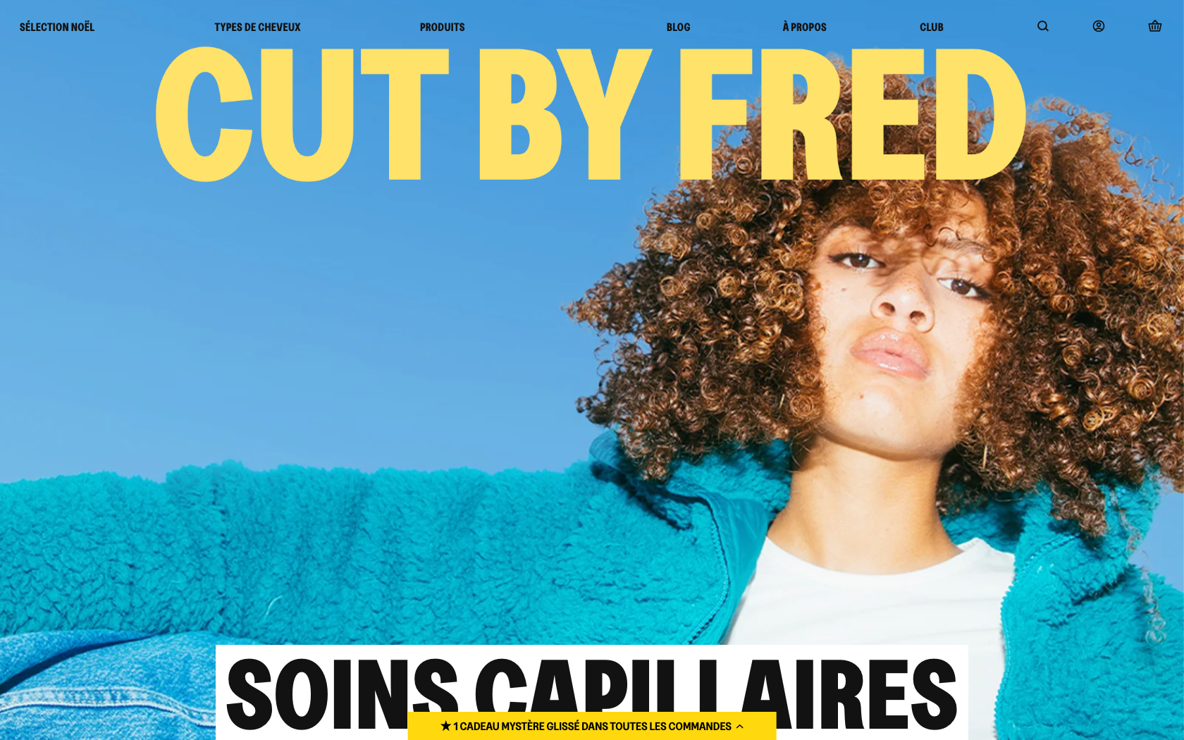 Aperçu du site cut by fred