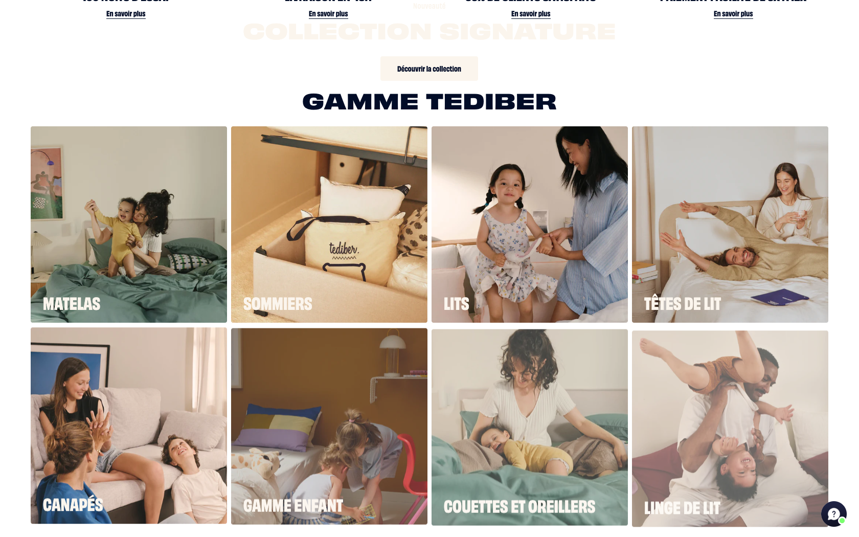 Aperçu du site officiel Tediber