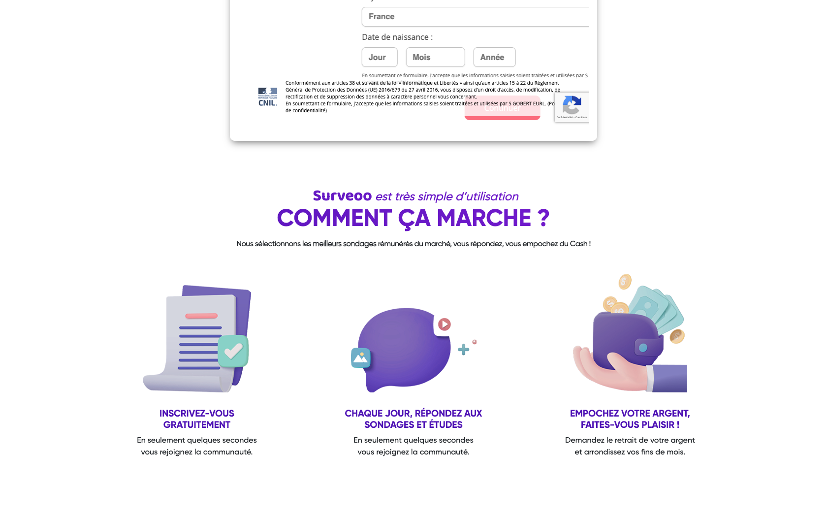 Aperçu du site Surveoo