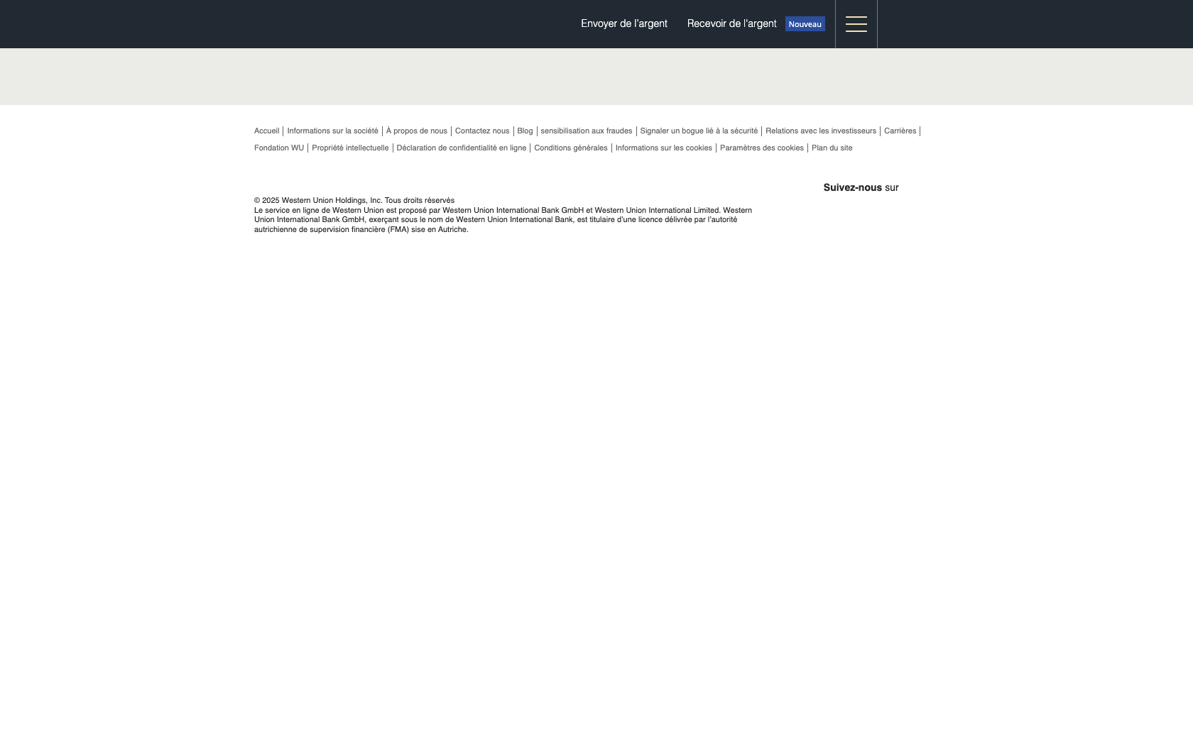 Aperçu du site Western Union