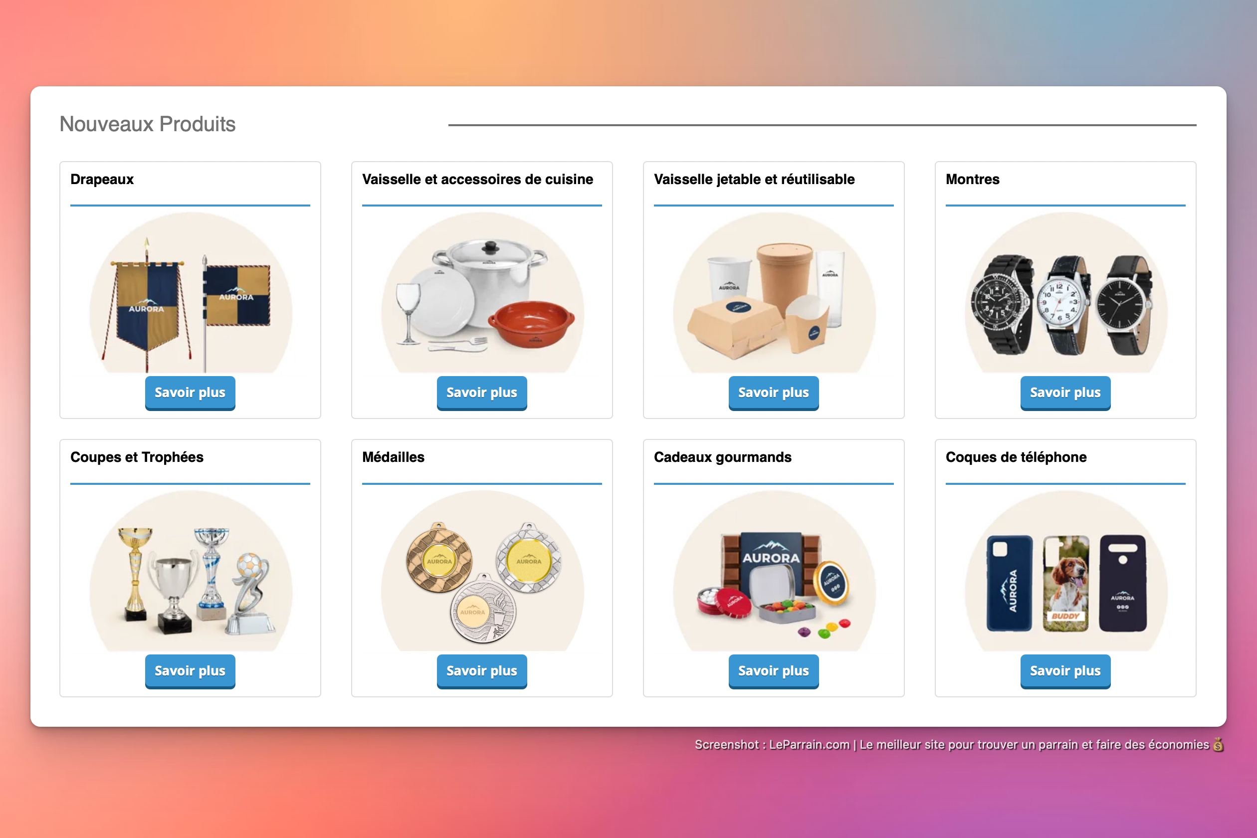 Capture d'écran 1 du programme de parrainage Bizay