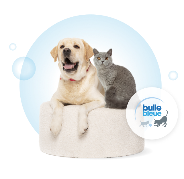 Capture d'écran de Bulle Bleue: Assurance &amp; mutuelle animaux chat et chien