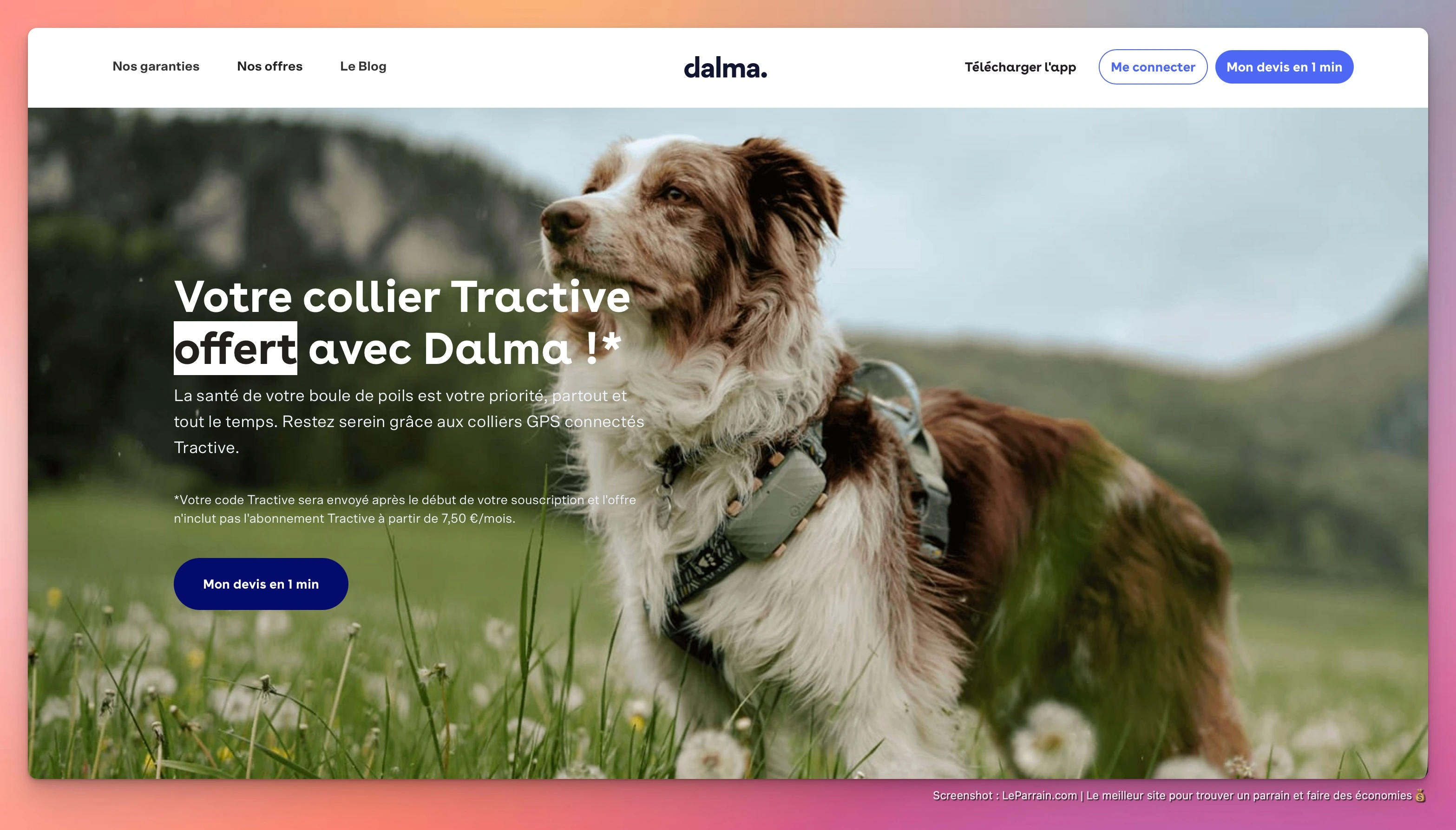 Capture d'écran 2 du programme de parrainage Dalma