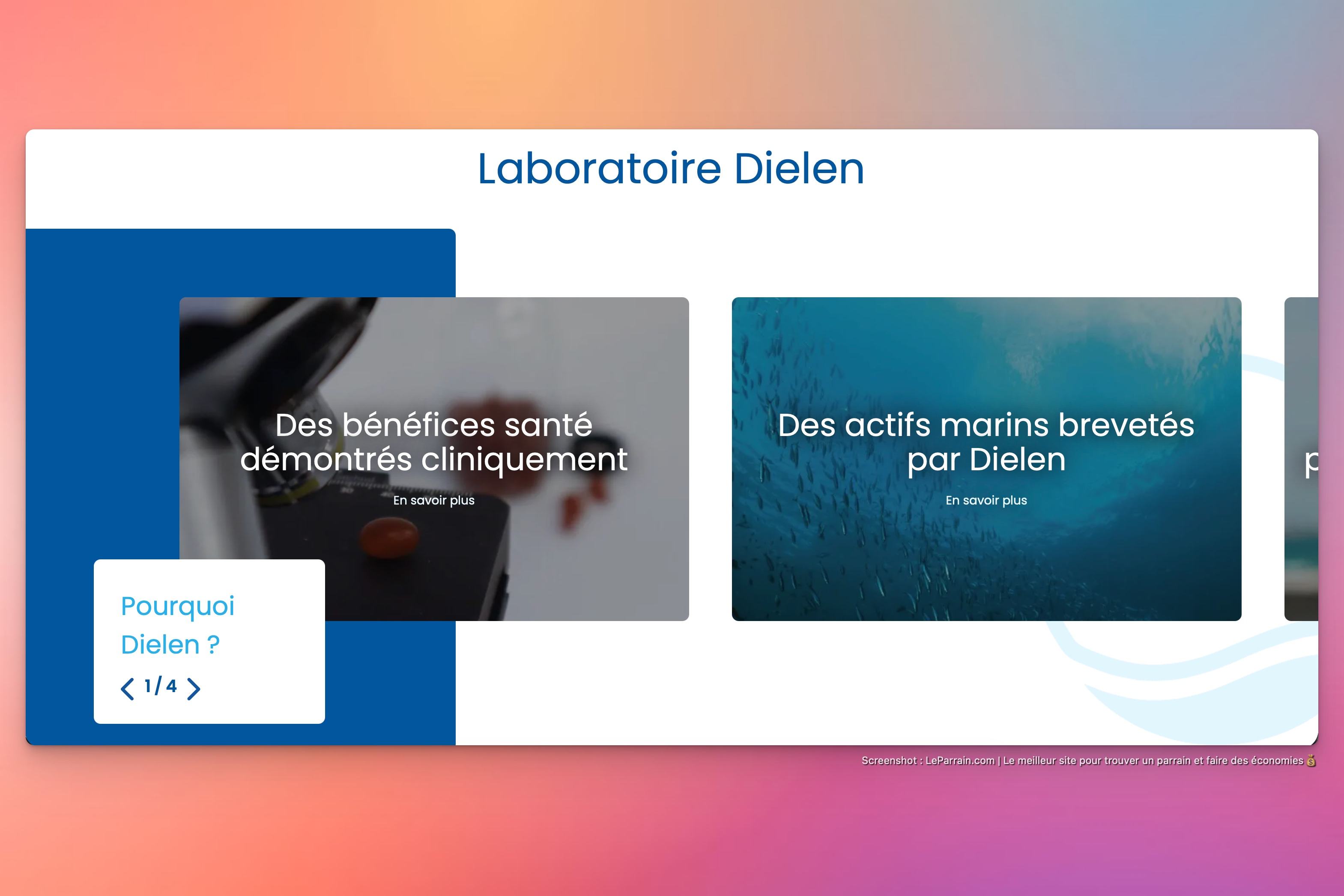 Capture d'écran 2 du programme de parrainage Dielen