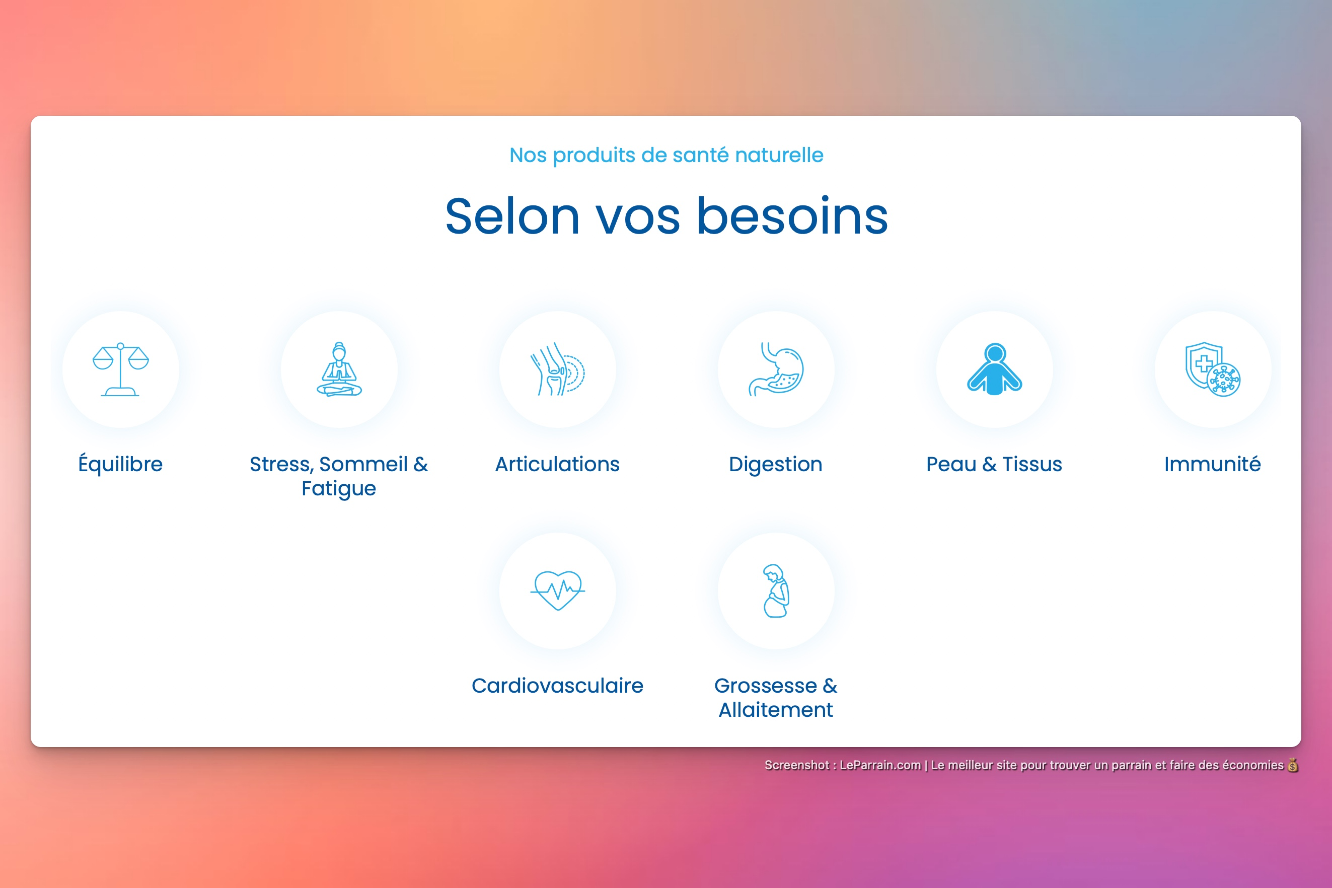 Capture d'écran 3 du programme de parrainage Dielen