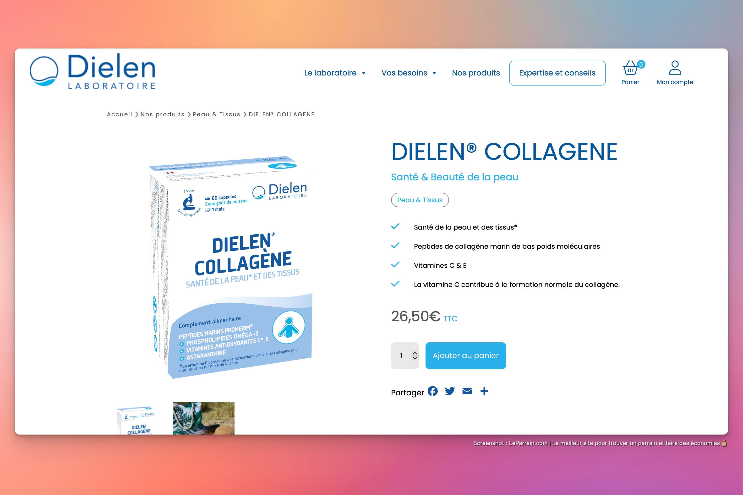 Capture d'écran 4 du programme de parrainage Dielen