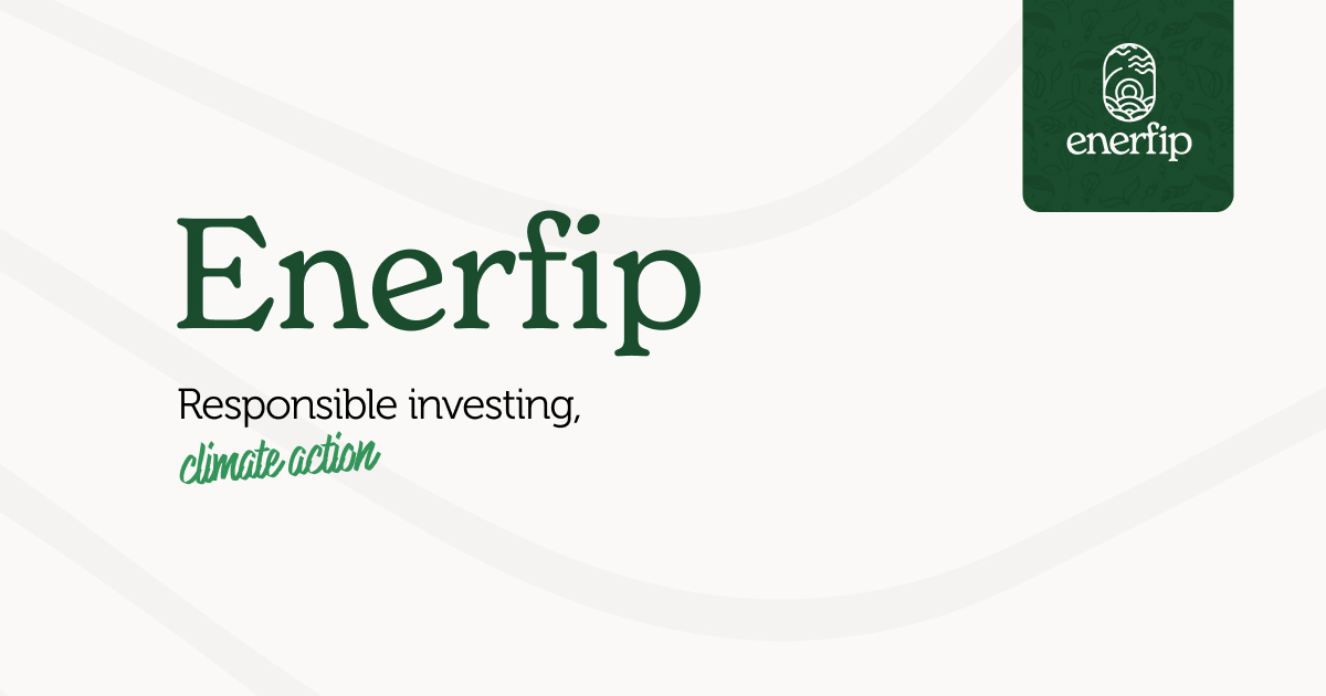 Capture d'écran de Financement participatif pour les énergies renouvelables - Enerfip