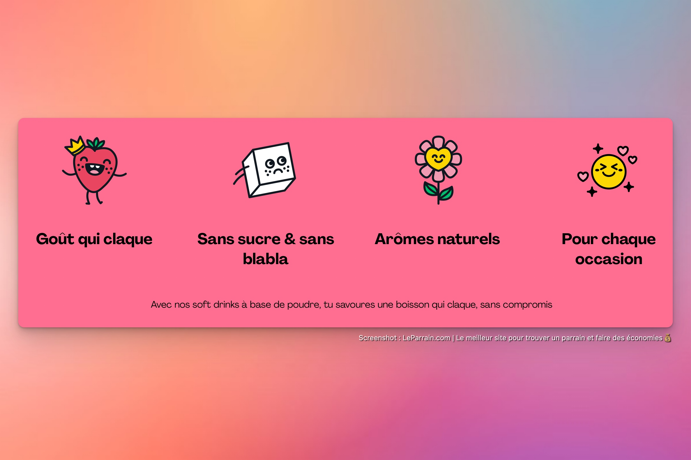 Capture d'écran 3 du programme de parrainage HOLY