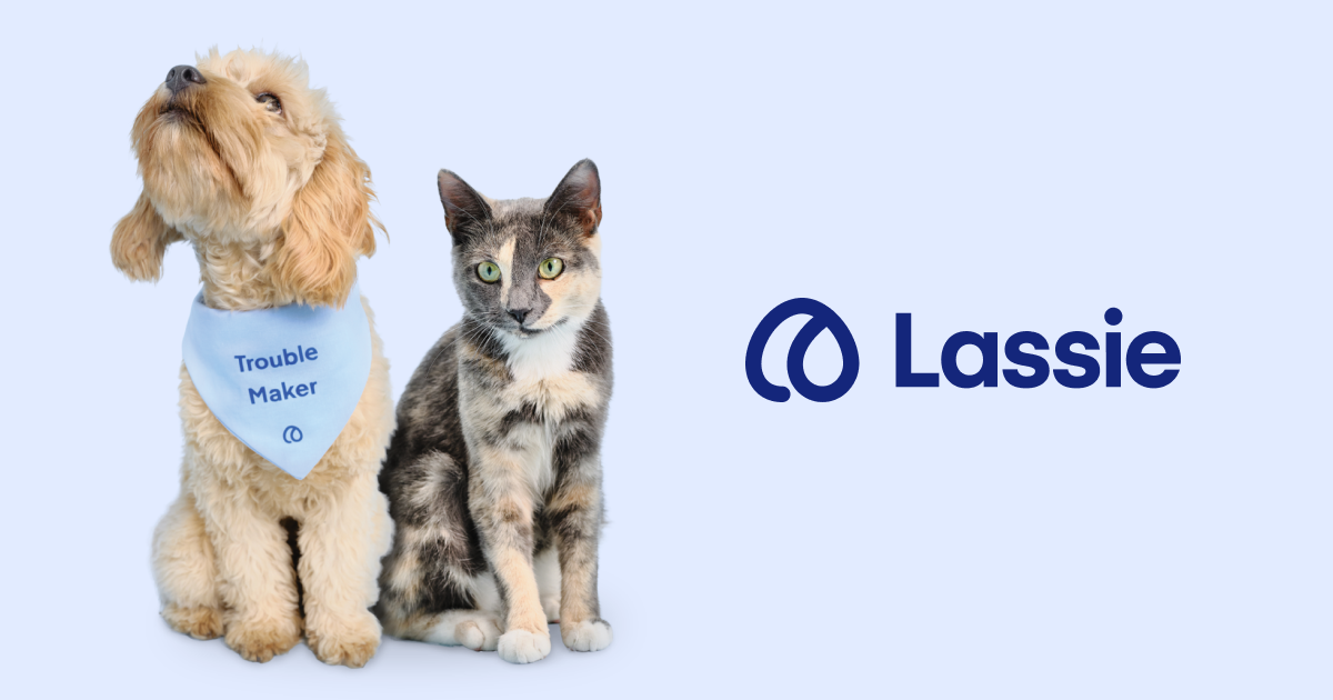 Capture d'écran de Assurance santé animale Lassie