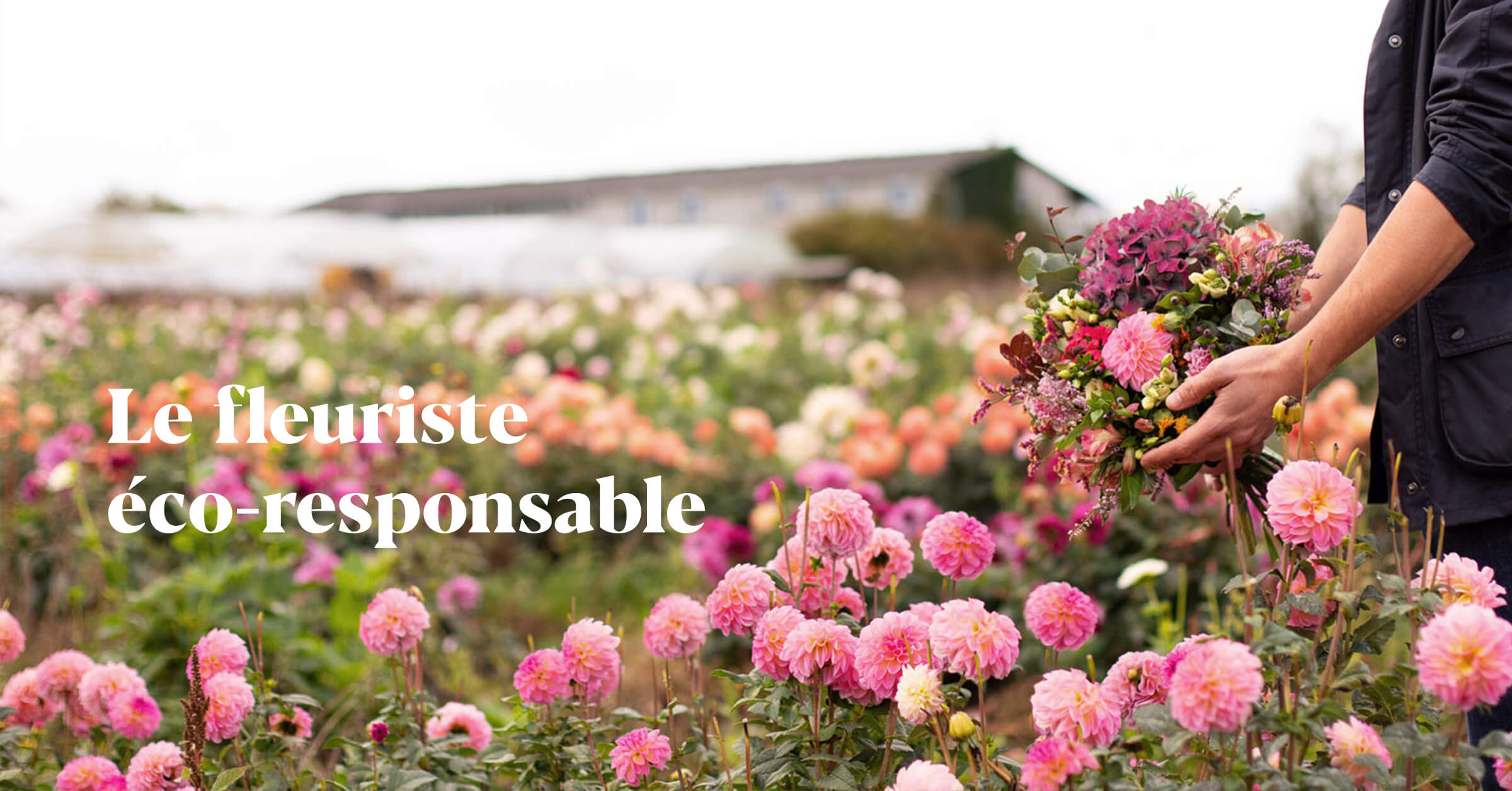 Capture d'écran de Monsieur Marguerite - Livraison de fleurs et plantes françaises