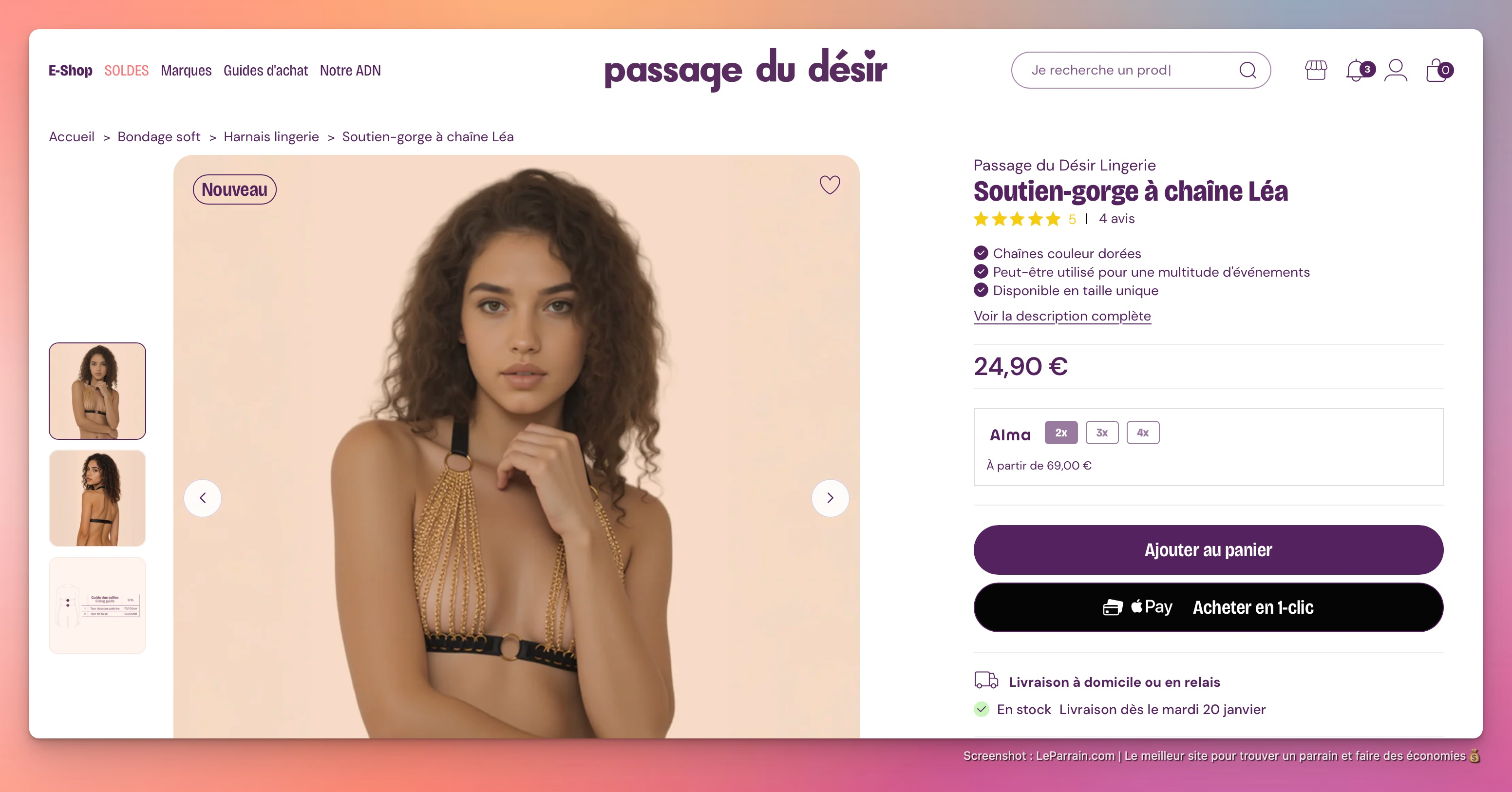 Capture d'écran 3 du programme de parrainage Passage du désir