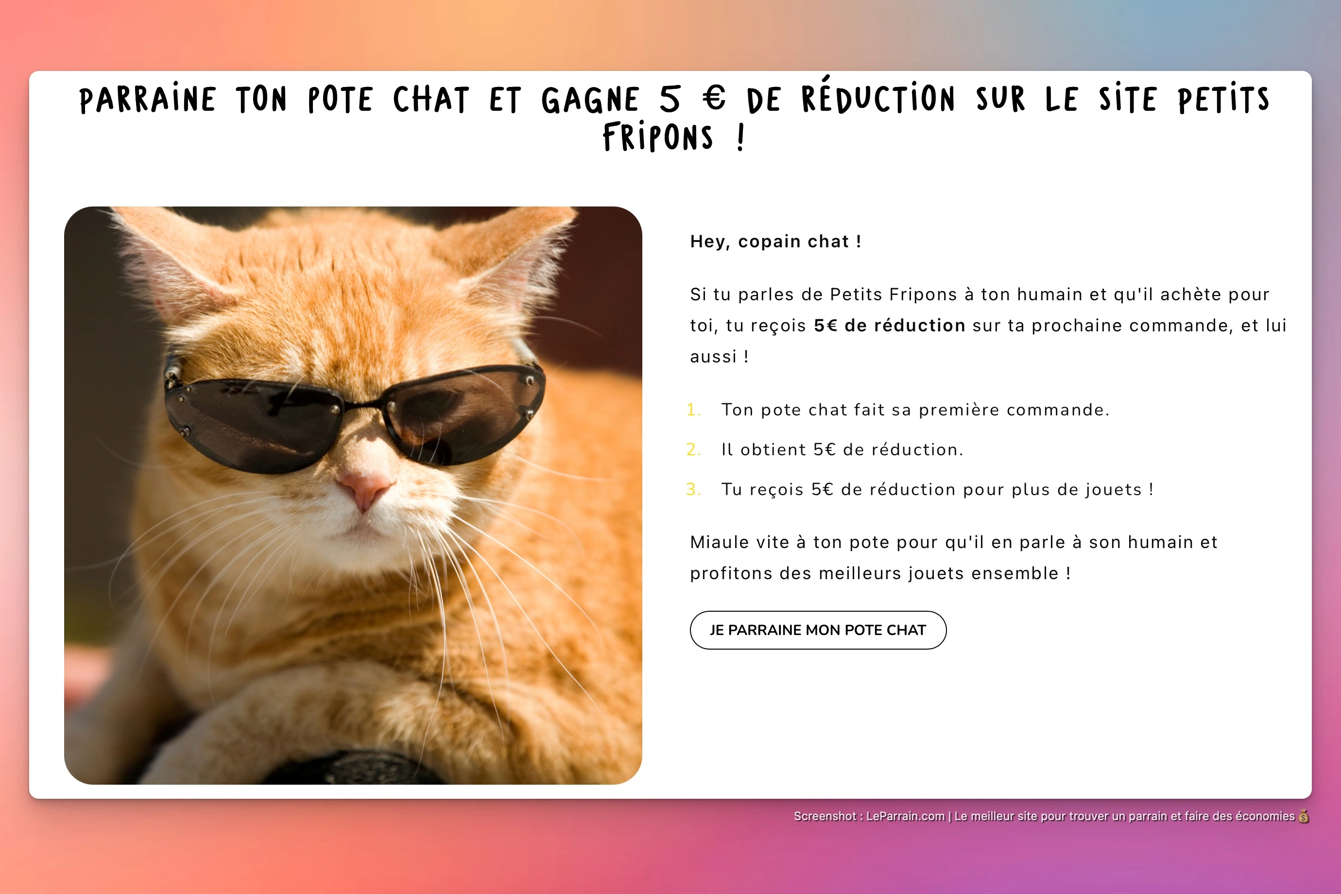 Capture d'écran 1 du programme de parrainage Petits Fripons