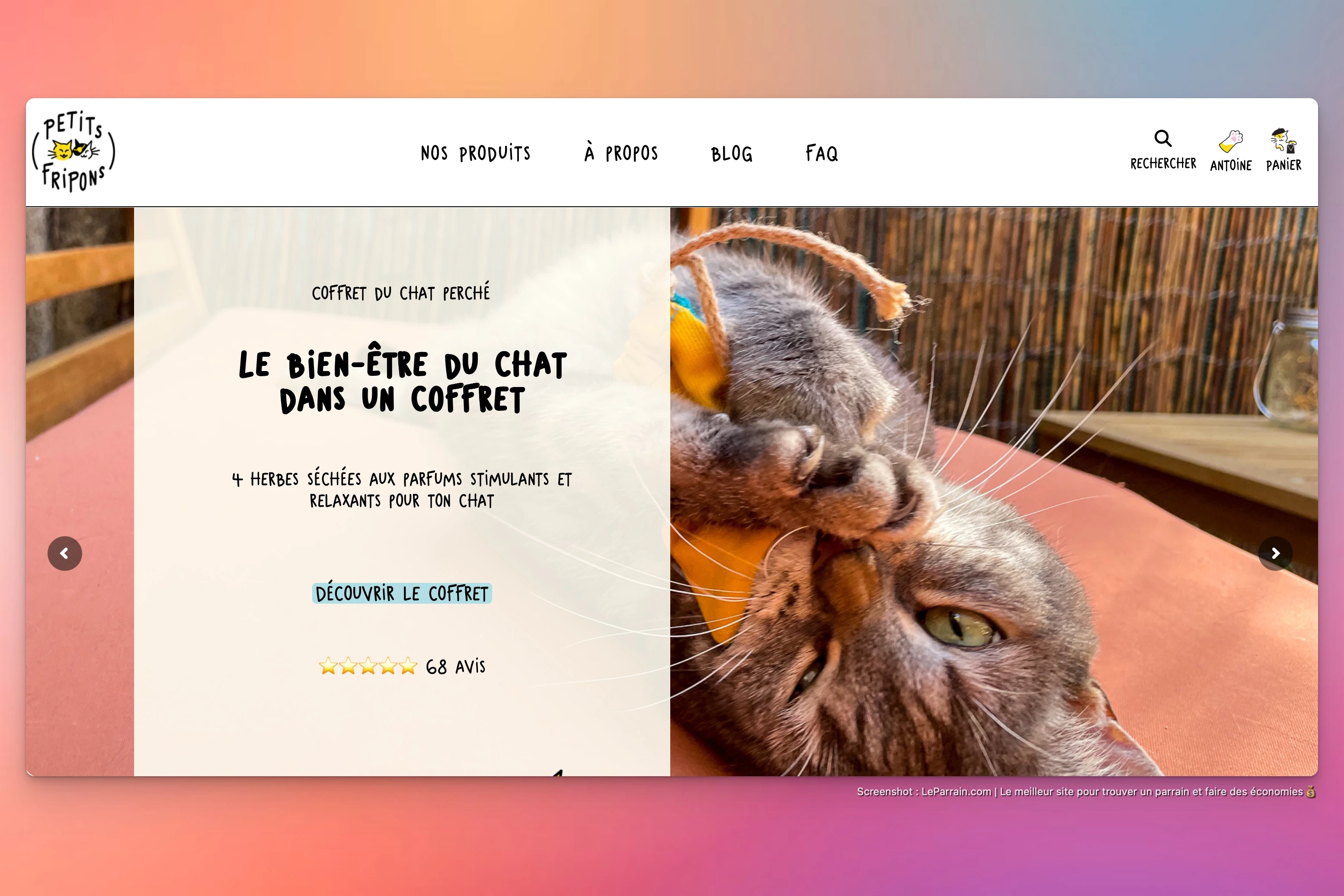 Capture d'écran 5 du programme de parrainage Petits Fripons