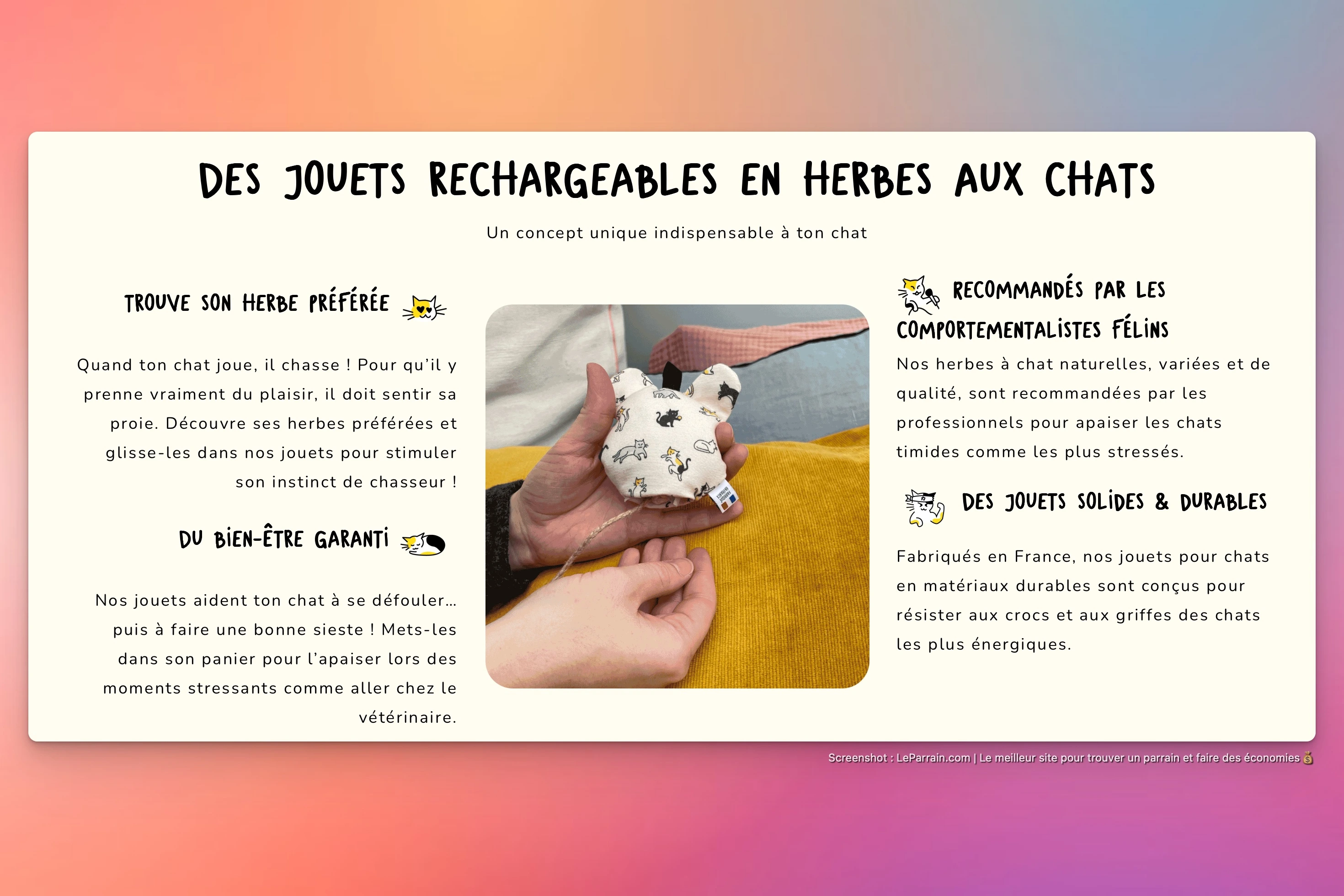 Capture d'écran 6 du programme de parrainage Petits Fripons